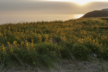 Kaliakra Cape Karadeniz sahilleri, Dobrich bölge, Bulgaristan üzerinden muhteşem günbatımı manzara