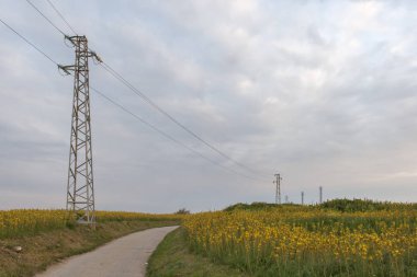 Kaliakra Cape Karadeniz sahilleri, Dobrich bölge, Bulgaristan üzerinden muhteşem günbatımı manzara