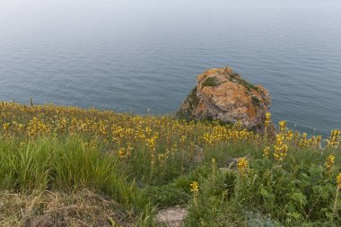 Kaliakra Cape Karadeniz sahilleri, Dobrich bölge, Bulgaristan üzerinden muhteşem günbatımı manzara