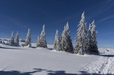 Muhteşem kış manzara Yaylası (Platoto) alan Vitosha Mountain, Sofya şehir bölge, Bulgaristan