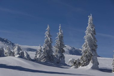 Muhteşem kış manzara Yaylası (Platoto) alan Vitosha Mountain, Sofya şehir bölge, Bulgaristan