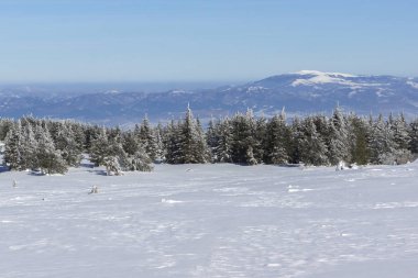Muhteşem kış manzara Yaylası (Platoto) alan Vitosha Mountain, Sofya şehir bölge, Bulgaristan