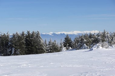 Muhteşem kış manzara Yaylası (Platoto) alan Vitosha Mountain, Sofya şehir bölge, Bulgaristan