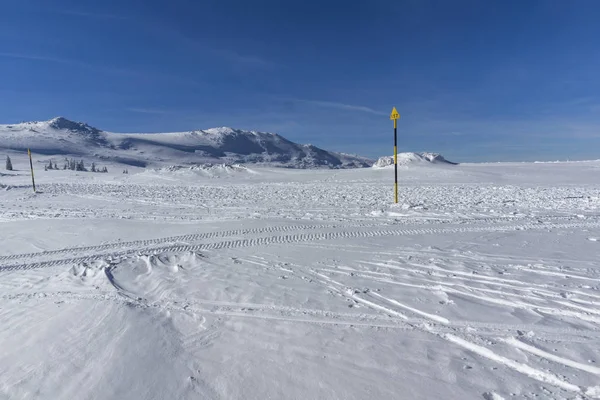 Incredibile Paesaggio Invernale Della Zona Plateau Platoto Vitosha Mountain Sofia — Foto Stock