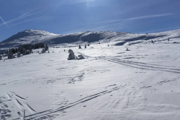 Erstaunliche Winterlandschaft Des Plateaus Platoto Gebiet Vitosha Berg Sofia Stadt — Stockfoto