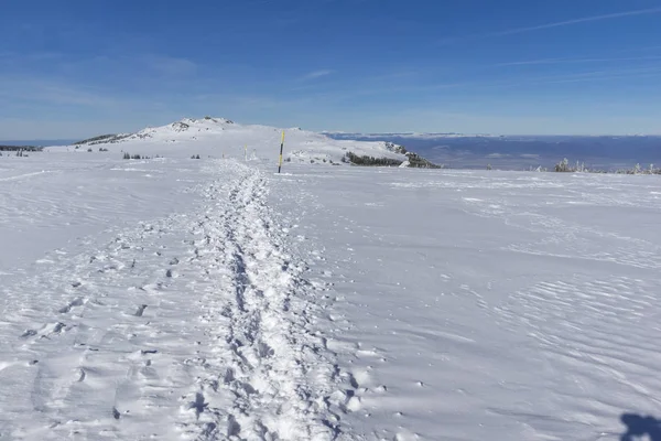 Niesamowity Krajobraz Zima Plateau Platoto Obszar Górski Witosza Region Miasta — Zdjęcie stockowe