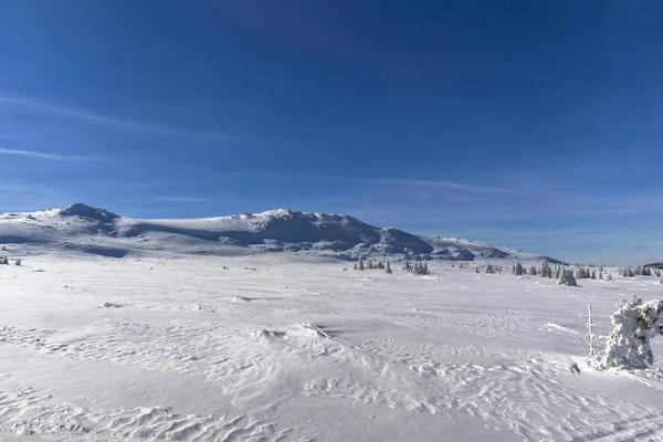 Niesamowity Krajobraz Zima Plateau Platoto Obszar Górski Witosza Region Miasta — Zdjęcie stockowe