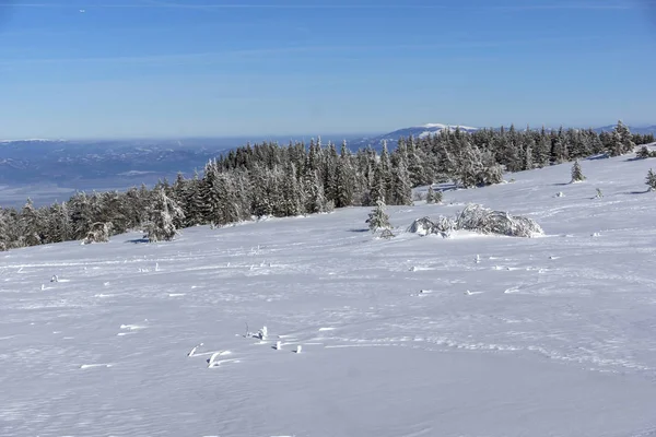 Csodálatos Téli Táj Fennsík Platoto Területen Vitosha Hegy Szófia Város — Stock Fotó