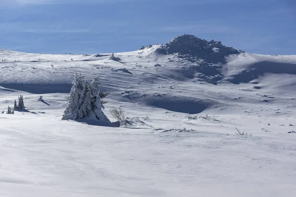 Niesamowity Krajobraz Zima Plateau Platoto Obszar Górski Witosza Region Miasta — Zdjęcie stockowe