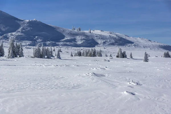 Superbe Paysage Hivernal Région Plateau Platoto Montagne Vitosha Région Sofia — Photo