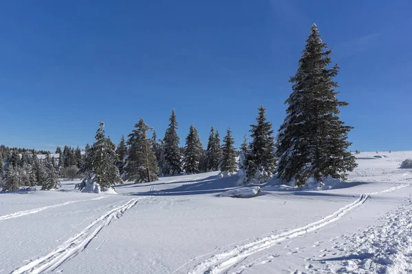 Niesamowity Krajobraz Zima Plateau Platoto Obszar Górski Witosza Region Miasta — Zdjęcie stockowe