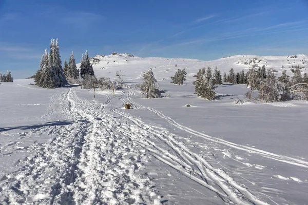 Úžasné Zimní Krajina Náhorní Plošiny Platoto Oblast Pohoří Vitoša Region — Stock fotografie
