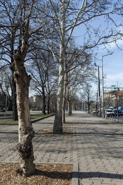 Sofya Bulgaristan Mart 2019 Sofya Şehir Merkezinde Tipik Bina Bulgaristan — Stok fotoğraf