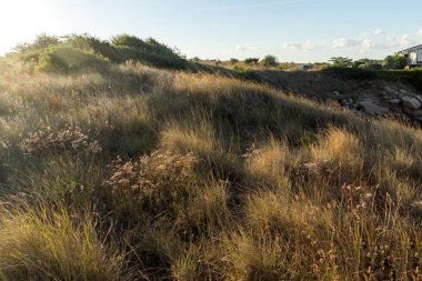 Chernomorets kıyı şeridi Amazing Sunset Manzara, Burgaz bölgesi, Bulgaristan