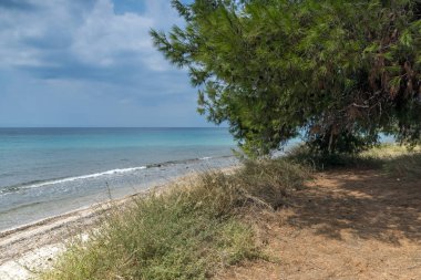 Panoramik Litheri Beach Sithonia Yarımadası, Chalkidiki, orta Makedonya, Yunanistan
