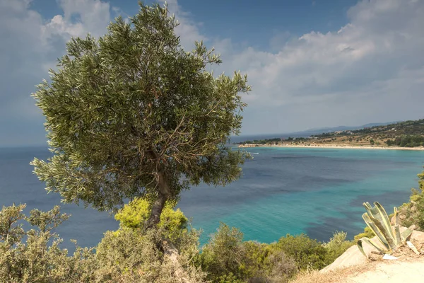 Sithonia Yarımadası 'nda Agios Ioannis Beach ile inanılmaz Seascape, Chalkidiki, Orta Makedonya, Yunanistan