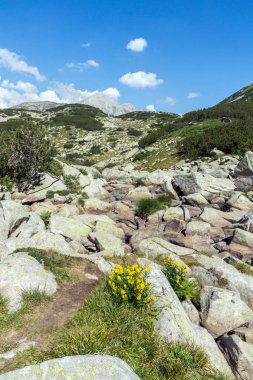 Vihren Peak 'in muhteşem yaz manzarası, Pirin Dağı, Bulgaristan