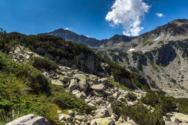 Banderishki kınalı keklik Peak 'in muhteşem yaz manzarası, Pirin Dağı, Bulgaristan