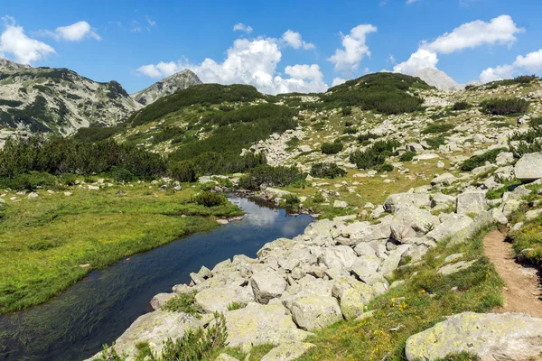 Muratovin Piikin Vuoristojoen Kesämaisema Pirin Mountain Bulgaria — kuvapankkivalokuva