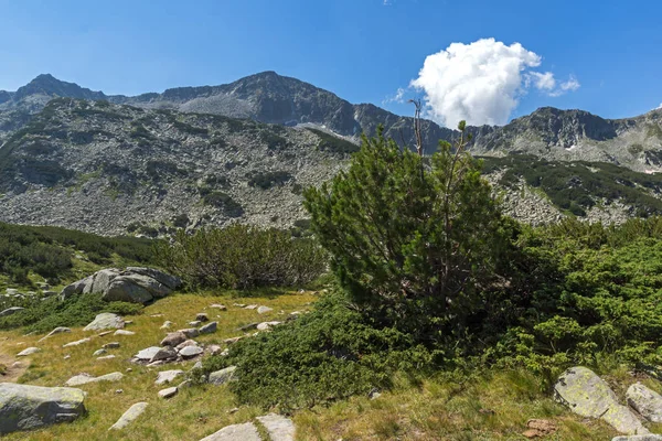 Summer Landscape Long Lake Pirin Mountain Bulgaria — Stock Photo, Image