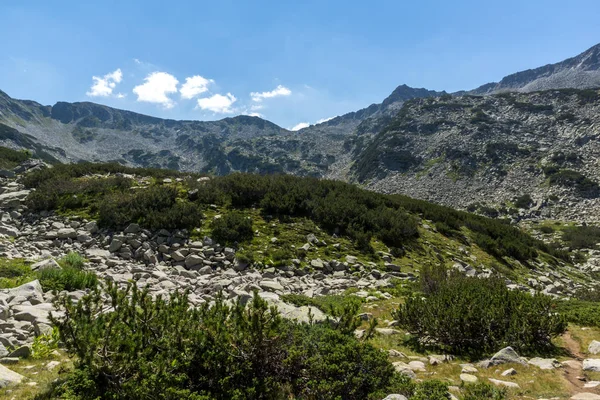 Sommerlandschaft Mit Muratov Gipfel Und Gebirgsfluss Bulgarien — Stockfoto