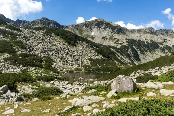 保加利亚皮林山穆拉托夫峰和山河夏季景观 — 图库照片
