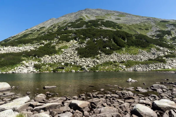 Paysage Estival Lac Long Pirin Mountain Bulgarie — Photo