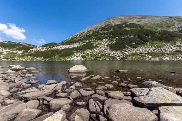 Летний Пейзаж Длинного Озера Гора Пирин Болгария — стоковое фото