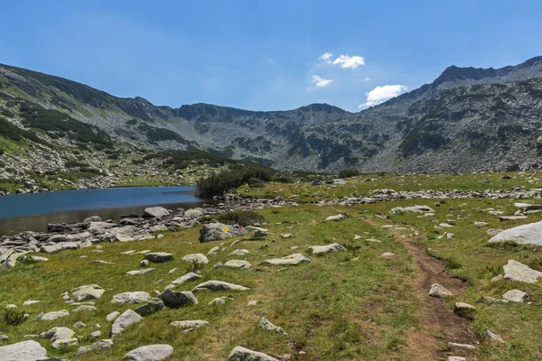 Літній Пейзаж Жаба Озеро Пірін Гори Болгарія — стокове фото