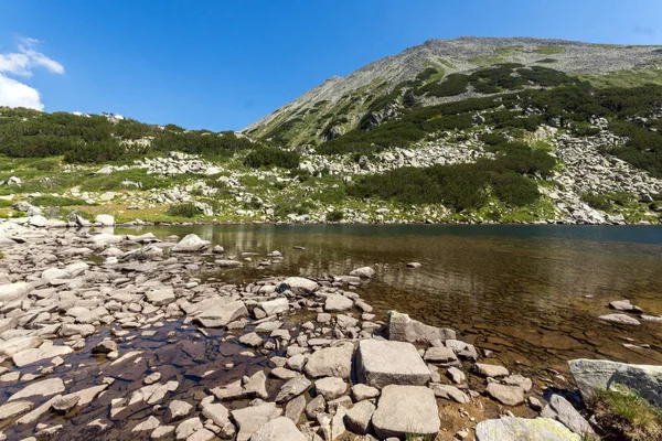 Летний Пейзаж Длинного Озера Гора Пирин Болгария — стоковое фото