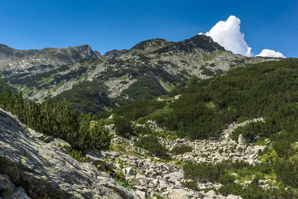 Amazing Summer Landscape Muratov Peak Pirin Mountain Bulgaria — Stock Photo, Image