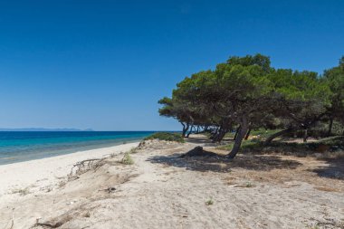 Kassandra Peninsula, Chalkidiki, Orta Makedonya, Yunanistan 'da Lagoon Beach