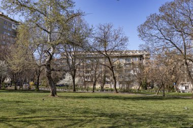 Sofia, Bulgaristan - 27 Mart 2019: Bahar manzara ağaçlar ve bahçeleri, Park Zaimov City, Sofia, Bulgaristan