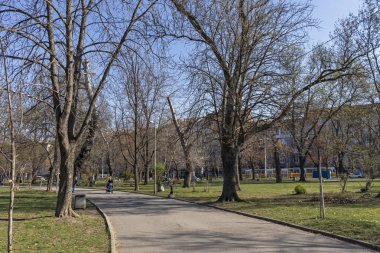 Sofia, Bulgaristan - 27 Mart 2019: Bahar manzara ağaçlar ve bahçeleri, Park Zaimov City, Sofia, Bulgaristan