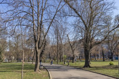 Sofia, Bulgaristan - 27 Mart 2019: Bahar manzara ağaçlar ve bahçeleri, Park Zaimov City, Sofia, Bulgaristan