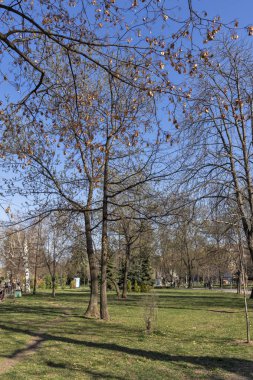 Sofia, Bulgaristan - 27 Mart 2019: Bahar manzara ağaçlar ve bahçeleri, Park Zaimov City, Sofia, Bulgaristan