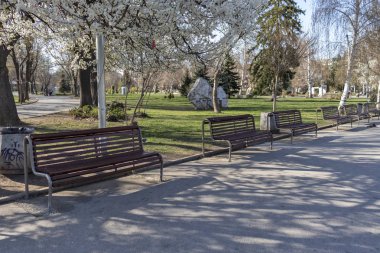 Sofia, Bulgaristan - 27 Mart 2019: Bahar manzara ağaçlar ve bahçeleri, Park Zaimov City, Sofia, Bulgaristan