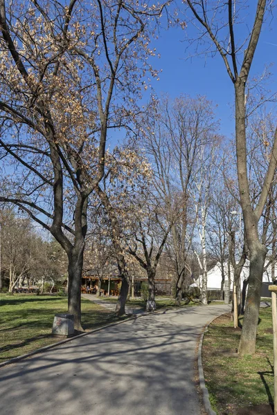 Sofia Bulgaria March 2019 Spring Landscape Trees Gardens Park Zaimov — Stock Photo, Image