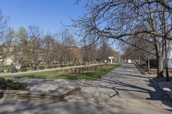 ソフィア ブルガリア 2019 ソフィア ブルガリアの都市で公園 Zaimov 庭園と木の春の風景 — ストック写真