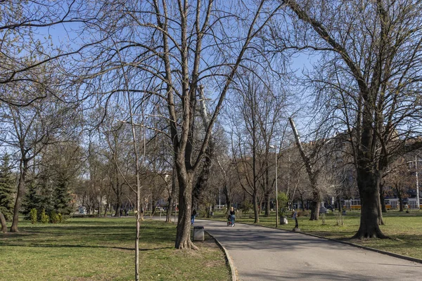 Sofia Bulgária Março 2019 Paisagem Primavera Com Árvores Jardins Parque — Fotografia de Stock