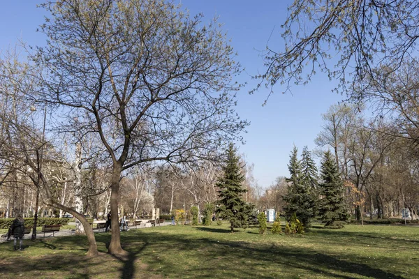 ソフィア ブルガリア 2019 ソフィア ブルガリアの都市で公園 Zaimov 庭園と木の春の風景 — ストック写真