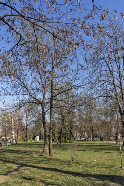 Sofia Bułgaria Marca 2019 Wiosnę Krajobraz Drzew Ogrodów Zaimow Park — Zdjęcie stockowe