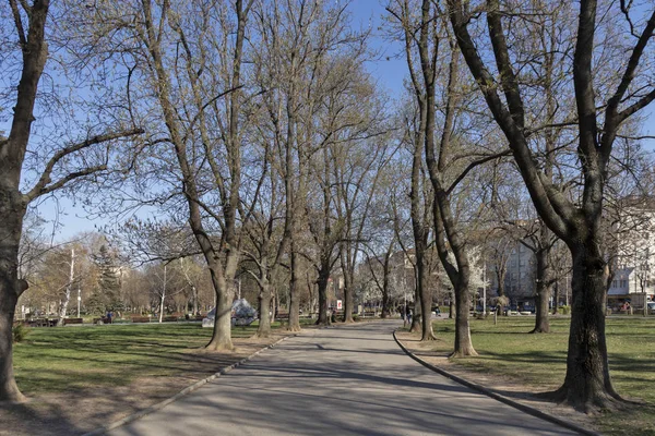 Sofia Bulgaristan Mart 2019 Bahar Manzara Ağaçlar Bahçeleri Park Zaimov — Stok fotoğraf
