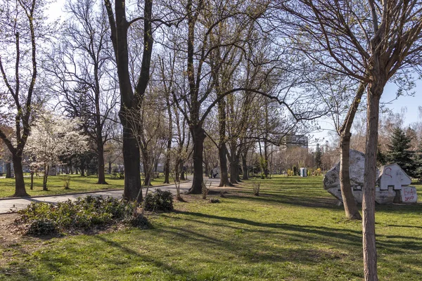 Sofia Bulgarien März 2019 Frühlingslandschaft Mit Bäumen Und Gärten Park — Stockfoto