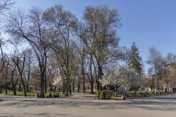 Sofia Bulgária Março 2019 Paisagem Primavera Com Árvores Jardins Parque — Fotografia de Stock