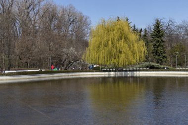 Sofia, Bulgaristan - 27 Mart 2019: Muhteşem bahar manzara South Park şehir Sofya, Bulgaristan
