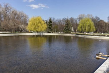 Sofia, Bulgaristan - 27 Mart 2019: Muhteşem bahar manzara South Park şehir Sofya, Bulgaristan