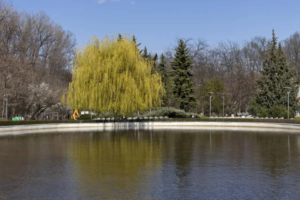 Sofia, Bulgaristan - 27 Mart 2019: Muhteşem bahar manzara South Park şehir Sofya, Bulgaristan