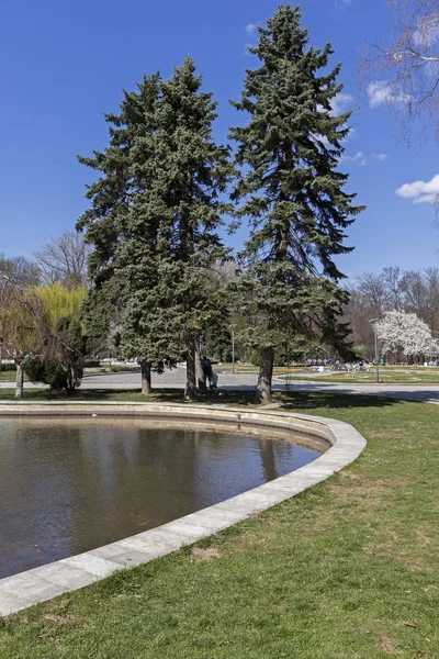 Sofia Bulgarien März 2019 Erstaunliche Frühlingslandschaft Des Südparks Der Stadt — Stockfoto