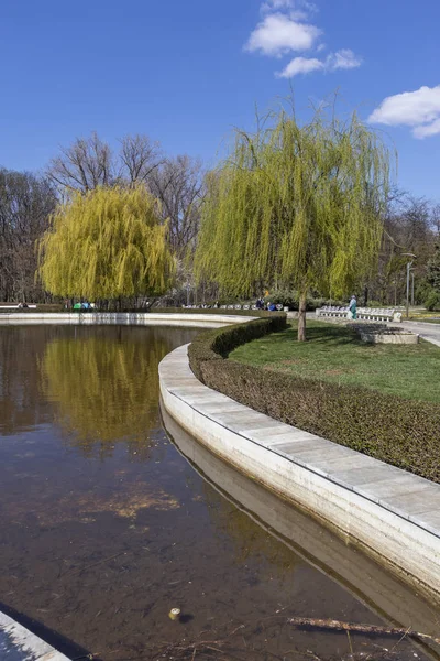 Sofia Bulgarien März 2019 Erstaunliche Frühlingslandschaft Des Südparks Der Stadt — Stockfoto